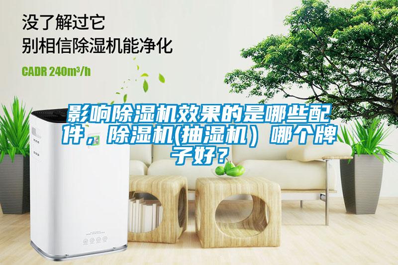 影響除濕機效果的是哪些配件，除濕機(抽濕機）哪個牌子好？