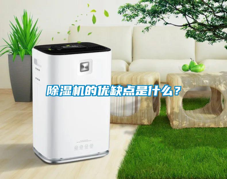 除濕機(jī)的優(yōu)缺點(diǎn)是什么？