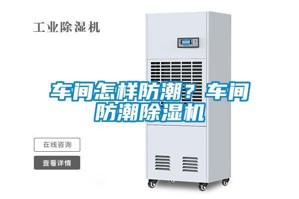 車間怎樣防潮？車間防潮除濕機(jī)