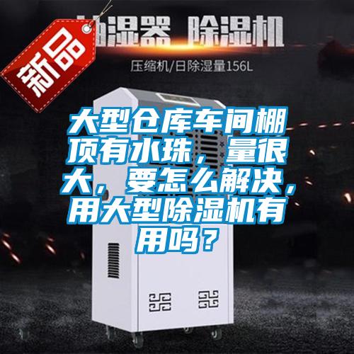 大型倉庫車間棚頂有水珠，量很大，要怎么解決，用大型除濕機(jī)有用嗎？
