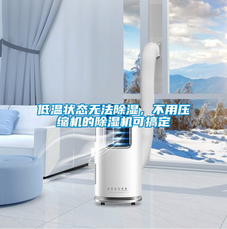 低溫狀態(tài)無(wú)法除濕，不用壓縮機(jī)的除濕機(jī)可搞定