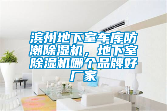 濱州地下室車庫防潮除濕機，地下室除濕機哪個品牌好廠家