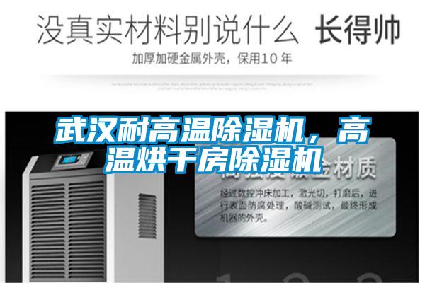武漢耐高溫除濕機(jī)，高溫烘干房除濕機(jī)