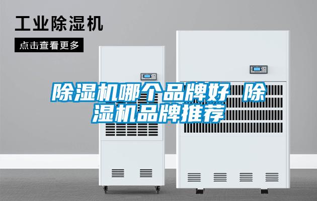 除濕機(jī)哪個品牌好 除濕機(jī)品牌推薦