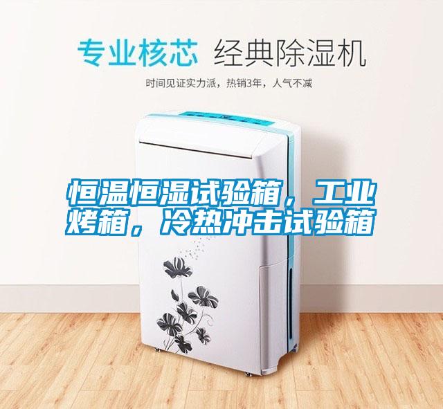 恒溫恒濕試驗箱，工業(yè)烤箱，冷熱沖擊試驗箱