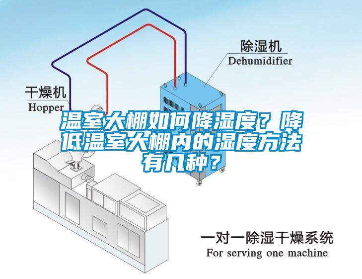 溫室大棚如何降濕度？降低溫室大棚內(nèi)的濕度方法有幾種？