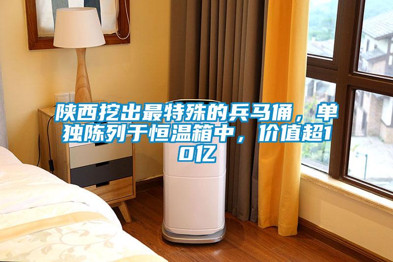 陜西挖出最特殊的兵馬俑，單獨陳列于恒溫箱中，價值超10億