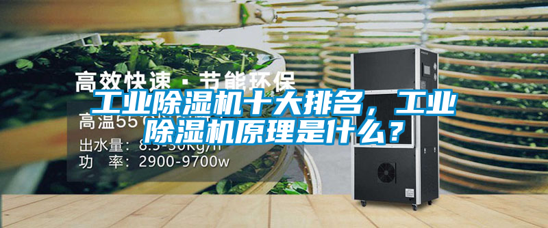 工業(yè)除濕機十大排名，工業(yè)除濕機原理是什么？