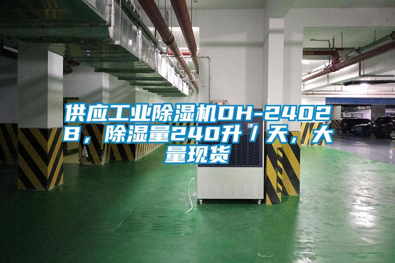 供應(yīng)工業(yè)除濕機(jī)DH-2402B，除濕量240升／天，大量現(xiàn)貨