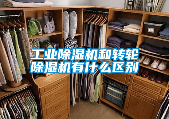 工業(yè)除濕機和轉輪除濕機有什么區(qū)別