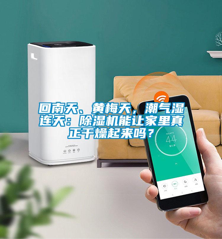 回南天、黃梅天，潮氣濕連天：除濕機能讓家里真正干燥起來嗎？