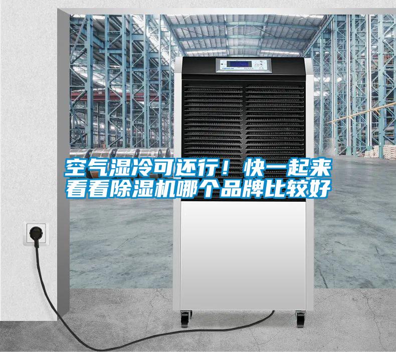 空氣濕冷可還行！快一起來(lái)看看除濕機(jī)哪個(gè)品牌比較好