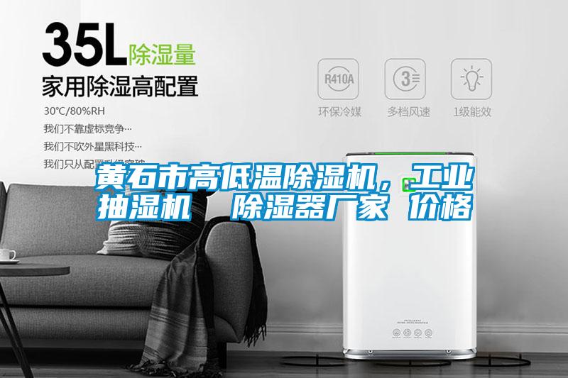 黃石市高低溫除濕機(jī)，工業(yè)抽濕機(jī)  除濕器廠家 價格