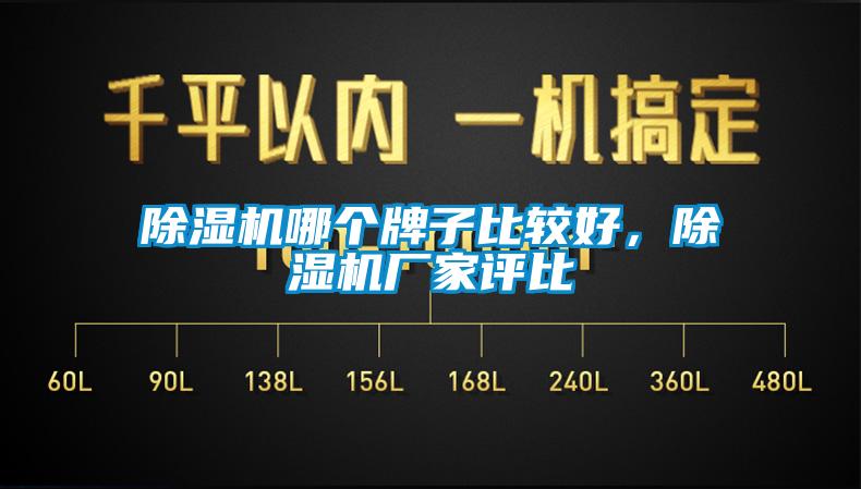 除濕機(jī)哪個(gè)牌子比較好，除濕機(jī)廠家評(píng)比
