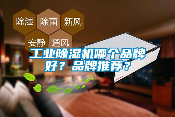 工業(yè)除濕機(jī)哪個品牌好？品牌推薦？
