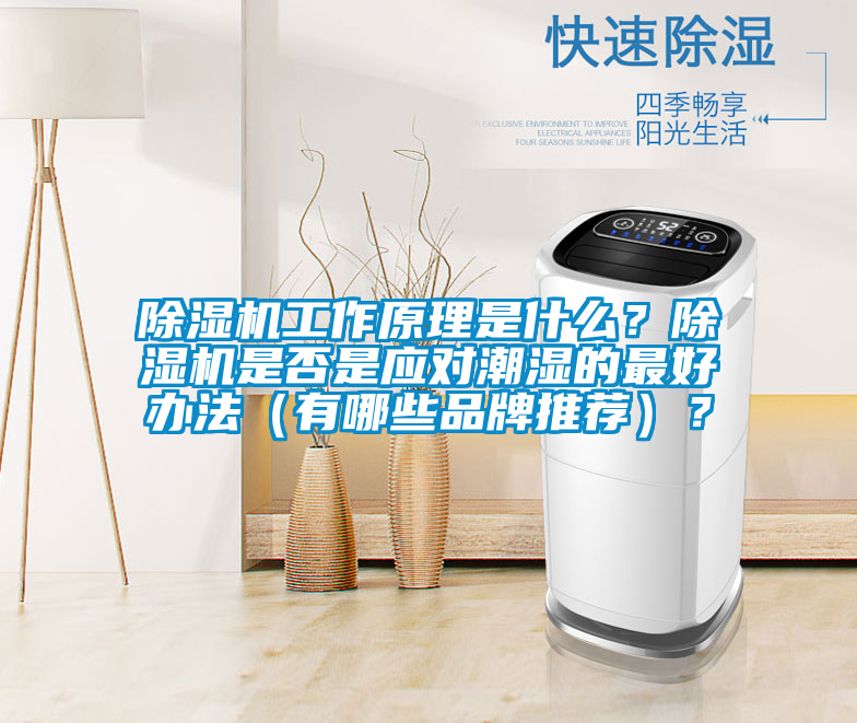 除濕機(jī)工作原理是什么？除濕機(jī)是否是應(yīng)對潮濕的最好辦法（有哪些品牌推薦）？