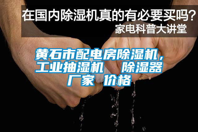 黃石市配電房除濕機，工業(yè)抽濕機  除濕器廠家 價格