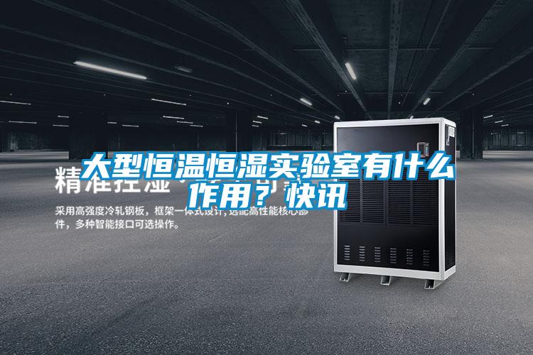大型恒溫恒濕實驗室有什么作用？快訊