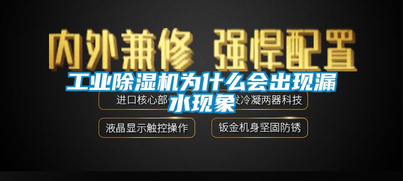 工業(yè)除濕機為什么會出現漏水現象