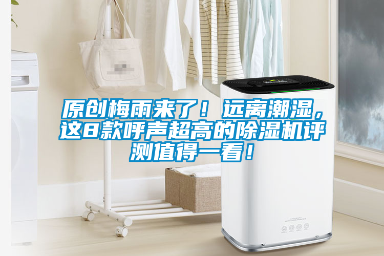 原創(chuàng)梅雨來了！遠離潮濕，這8款呼聲超高的除濕機評測值得一看！