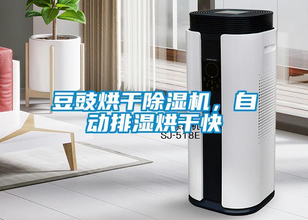 豆豉烘干除濕機(jī)，自動(dòng)排濕烘干快