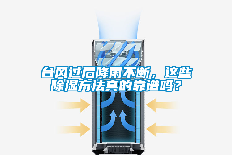 臺(tái)風(fēng)過(guò)后降雨不斷，這些除濕方法真的靠譜嗎？