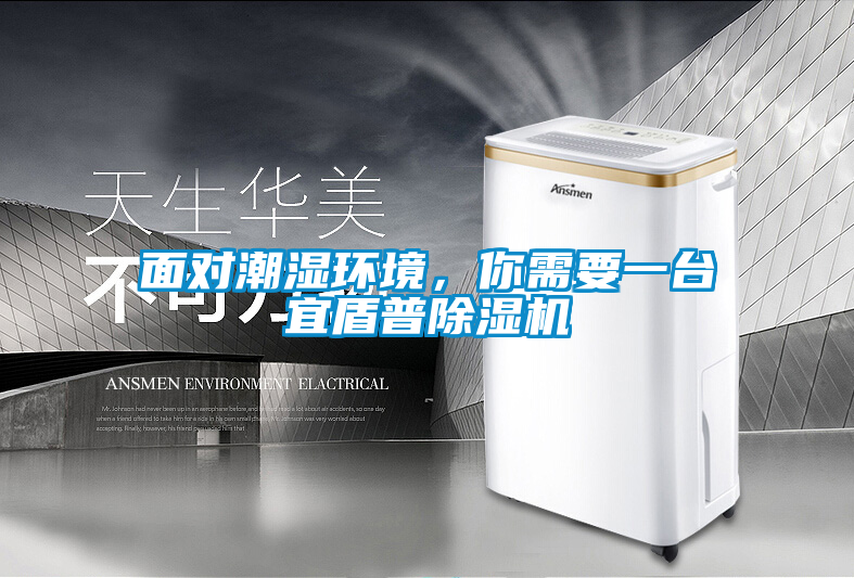 面對潮濕環(huán)境，你需要一臺宜盾普除濕機
