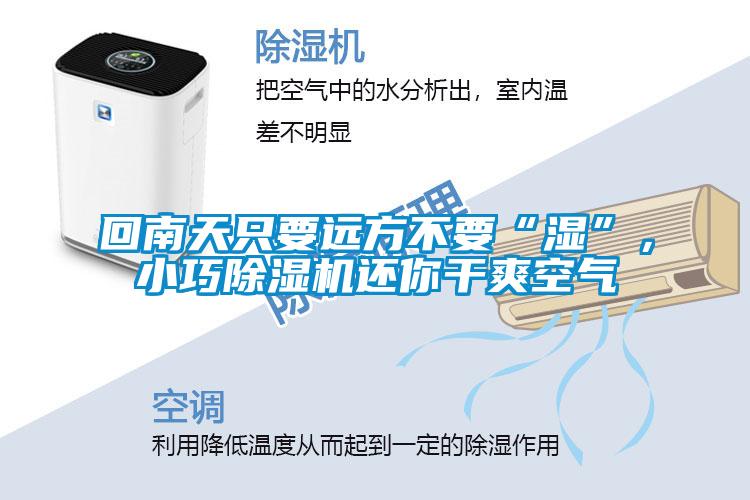 回南天只要遠(yuǎn)方不要“濕”，小巧除濕機(jī)還你干爽空氣