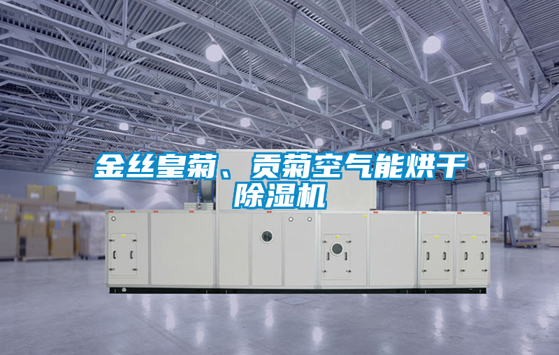 金絲皇菊、貢菊空氣能烘干除濕機
