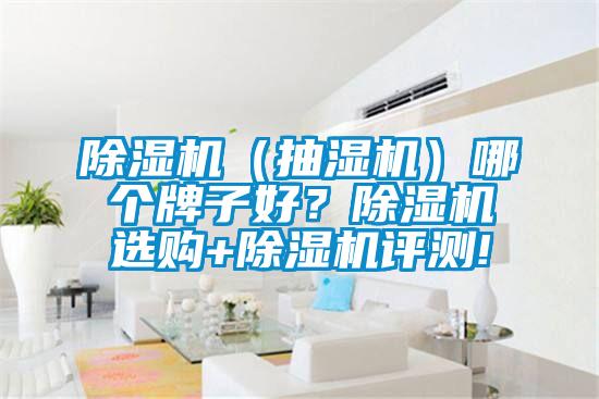 除濕機(jī)（抽濕機(jī)）哪個(gè)牌子好？除濕機(jī)選購+除濕機(jī)評測!