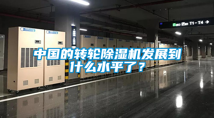 中國的轉(zhuǎn)輪除濕機發(fā)展到什么水平了？