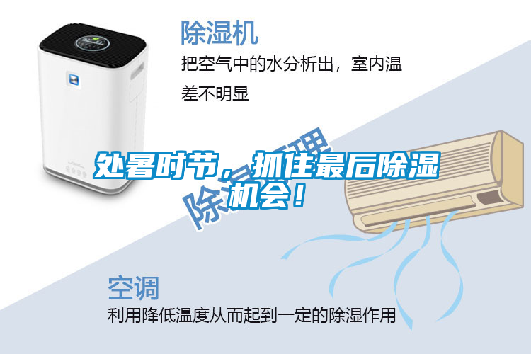處暑時(shí)節(jié)，抓住最后除濕機(jī)會(huì)！