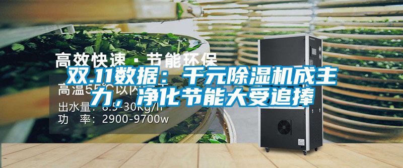 雙.11數(shù)據(jù)：千元除濕機成主力，凈化節(jié)能大受追捧