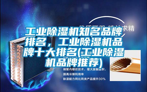 工業(yè)除濕機(jī)知名品牌排名，工業(yè)除濕機(jī)品牌十大排名(工業(yè)除濕機(jī)品牌推薦)