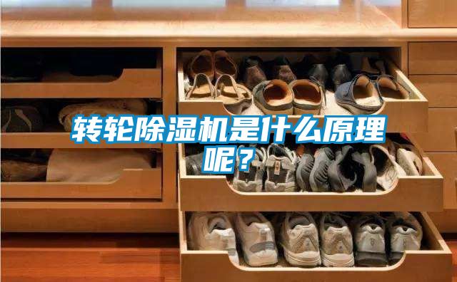 轉(zhuǎn)輪除濕機(jī)是什么原理呢？