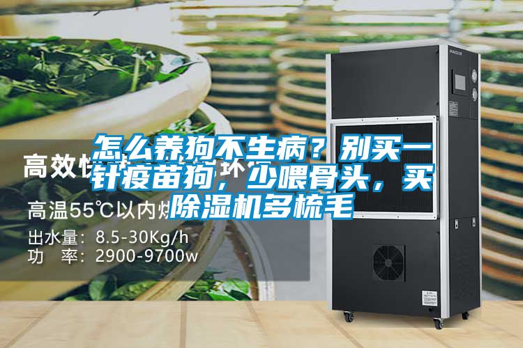 怎么養(yǎng)狗不生?。縿e買(mǎi)一針疫苗狗，少喂骨頭，買(mǎi)除濕機(jī)多梳毛