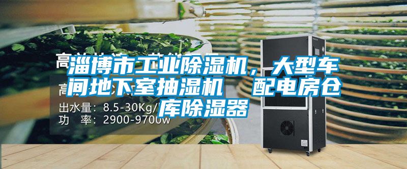 淄博市工業(yè)除濕機，大型車間地下室抽濕機  配電房倉庫除濕器
