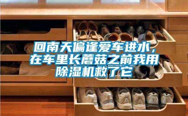 回南天偏逢愛車進水，在車里長蘑菇之前我用除濕機救了它
