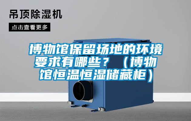 博物館保留場地的環(huán)境要求有哪些？（博物館恒溫恒濕儲藏柜）