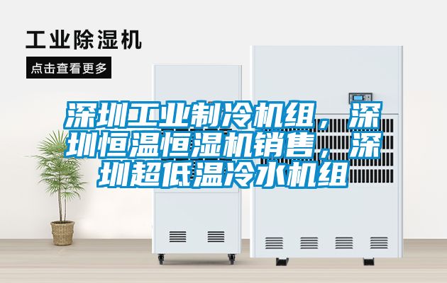 深圳工業(yè)制冷機組，深圳恒溫恒濕機銷售，深圳超低溫冷水機組