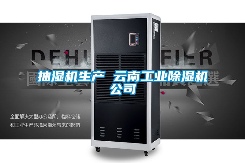 抽濕機生產 云南工業(yè)除濕機公司