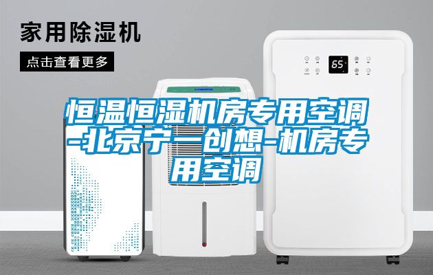 恒溫恒濕機(jī)房專(zhuān)用空調(diào)-北京寧一創(chuàng)想-機(jī)房專(zhuān)用空調(diào)