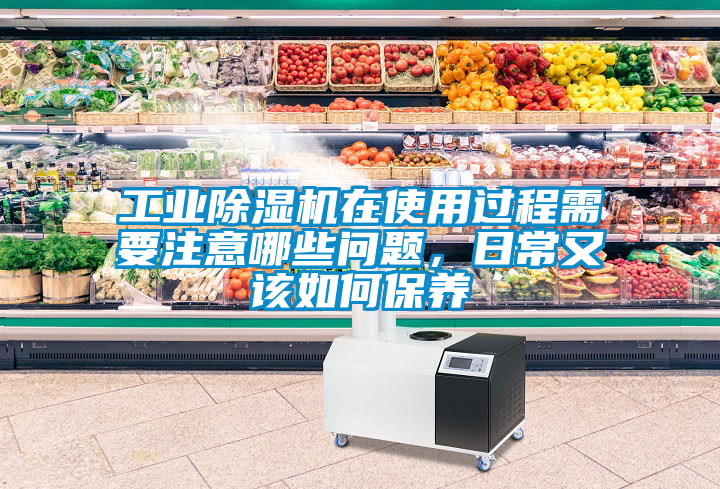 工業(yè)除濕機(jī)在使用過程需要注意哪些問題，日常又該如何保養(yǎng)