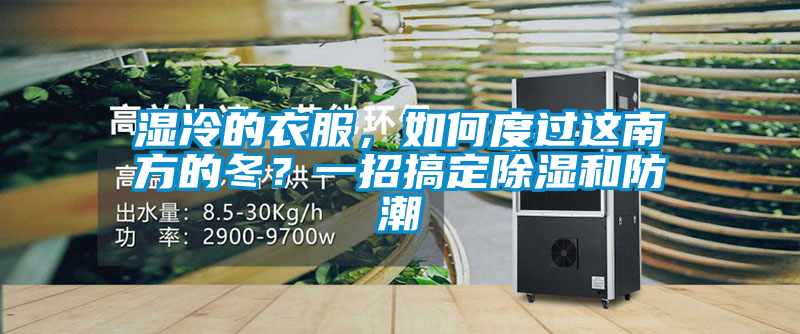 濕冷的衣服，如何度過(guò)這南方的冬？一招搞定除濕和防潮