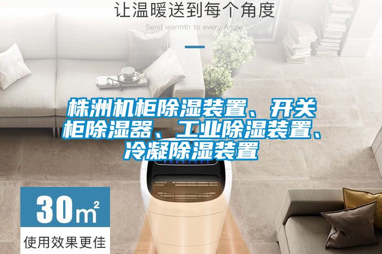 株洲機(jī)柜除濕裝置、開關(guān)柜除濕器、工業(yè)除濕裝置、冷凝除濕裝置