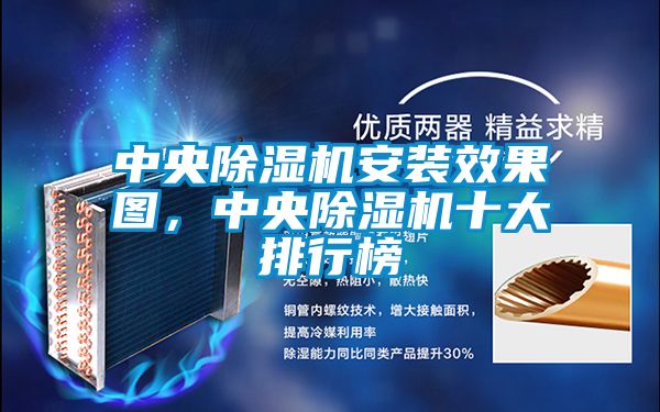 中央除濕機安裝效果圖，中央除濕機十大排行榜