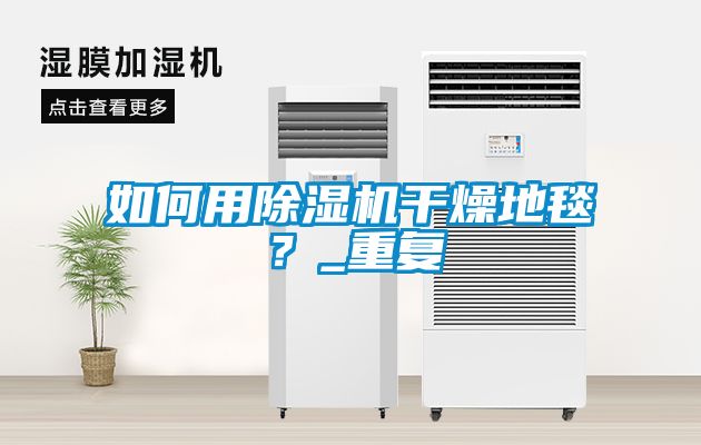如何用除濕機干燥地毯？_重復