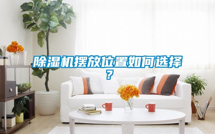 除濕機(jī)擺放位置如何選擇？