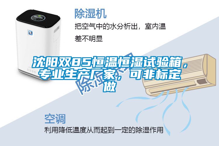 沈陽雙85恒溫恒濕試驗箱，專業(yè)生產(chǎn)廠家，可非標(biāo)定做