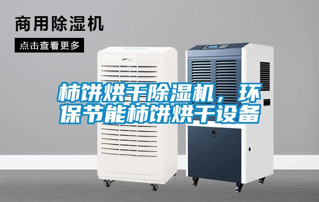 柿餅烘干除濕機，環(huán)保節(jié)能柿餅烘干設(shè)備